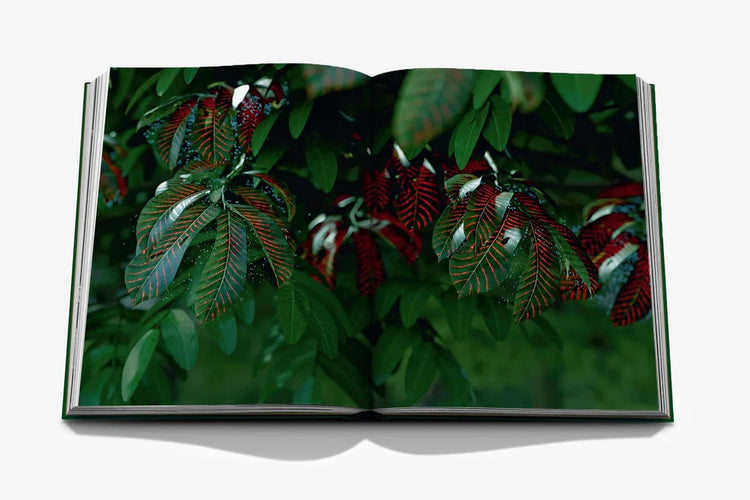 Expo 2020 Dubai: Terra-The Sustainability Pavilion