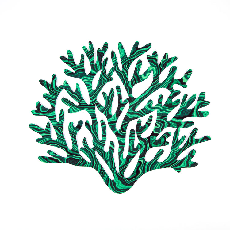 Curiosity Placemats | Set of 2 by Madame Malachite