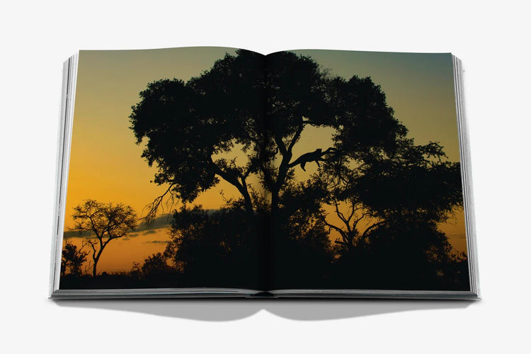 Londolozi: The Safari that Changed Everything