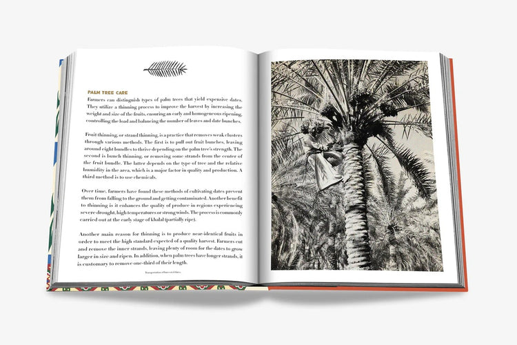Saudi Dates: A Portrait of the Sacred Fruit