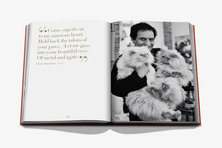 Chic Cats