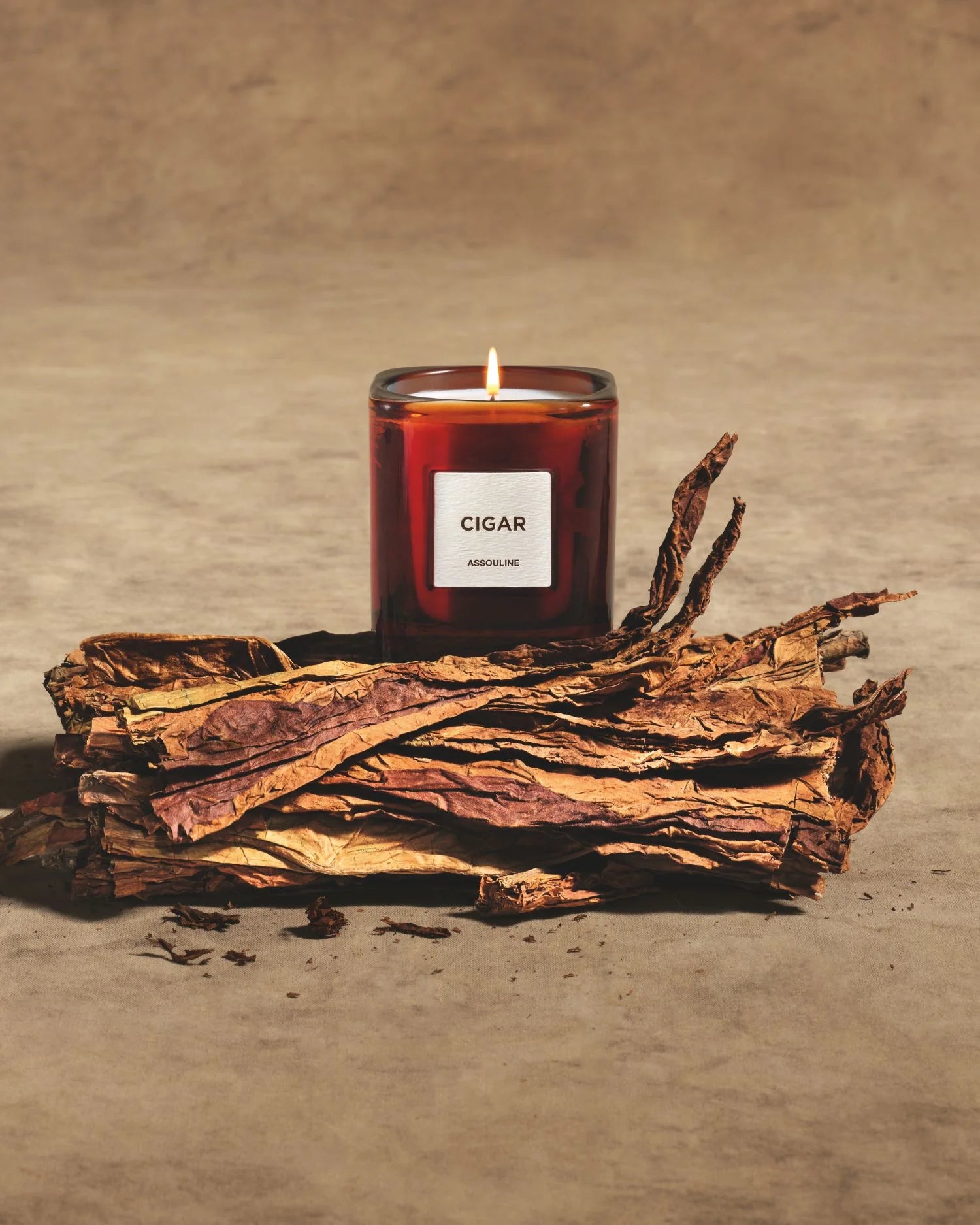 Library Candle - CIGAR
