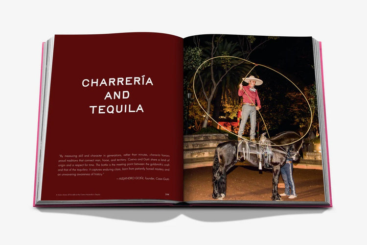 The Art of Tequila: Spirit of Mexico